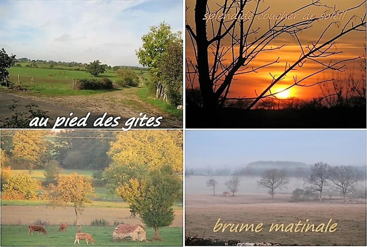 Appartement Charmant A Villeneuve Avec Jardin شقة Villeneuve-dʼAveyron