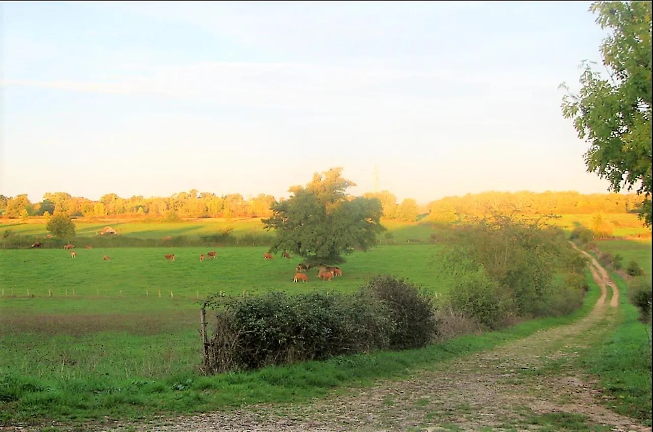 Appartement Charmant A Villeneuve Avec Jardin شقة